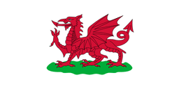 Next First Minister of Wales?