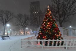 Will Chicago have a white Christmas?