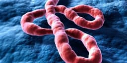 Which countries will have an Ebola case in 2026?