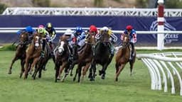 Will Contrary Thinking win the 2025 Breeders’ Cup Classic?