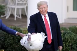 Will Trump pardon Waddle?