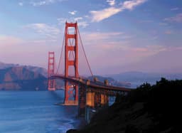 Will another candidate win the San Francisco Mayoral Election?