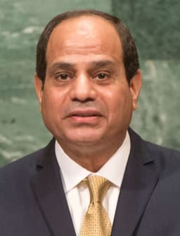 Will Abdel Fattah el-Sisi be the first leader out in 2025?