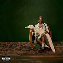 Will 'Alligator Bites Never Heal' win Best Rap Album?