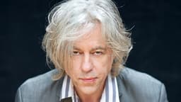 Will Bob Geldof win the Irish Presidential Election?