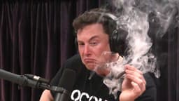 Will Elon call Trump a "pedophile" by Friday?