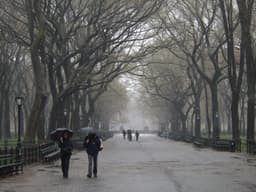 Will it rain in Central Park on June 9?