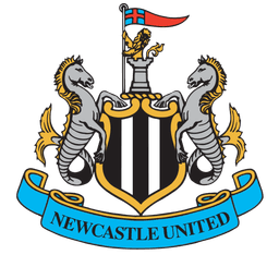 Will Newcastle beat Wolverhampton?