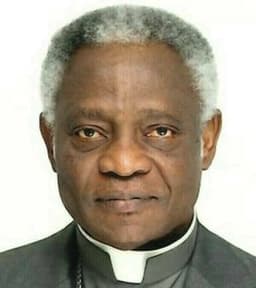 Will Peter Turkson be the next pope?