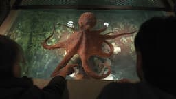 Will "Remarkably Bright Creatures" be the #2 US Netflix movie this week?