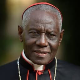 Will Robert Sarah be the next pope?