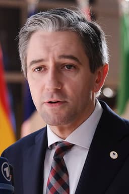 Will Simon Harris be the next Prime Minister of Ireland?