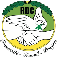 Will the Central African Democratic Rally win the most seats in the 2025 Central African Republic National Assembly election?
