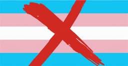 Will the U.S. military implement transgender ban?