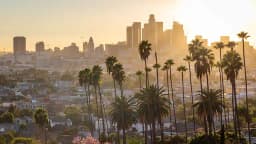 2026 Los Angeles County Sheriff Election Winner