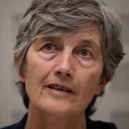 Will Catherine Connolly win the Irish Presidential Election by less than 15%?
