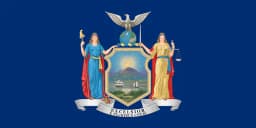 NY-19 House Election Winner