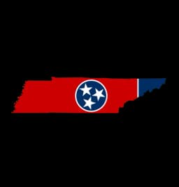 Tennessee Senate Election Winner