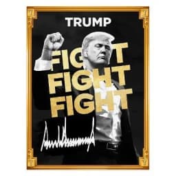 Will $TRUMP hit $25B FDV by Sunday?