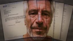 Epstein phonebook only document released today?