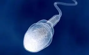 Sperm Race: Holden Williams vs Josh Fields