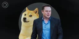Will DOGE audit the IRS before May?
