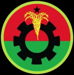 Will the Bangladesh Nationalist Party (BNP) win between 200 and 249 seats in the Bangladesh parliamentary election?