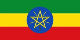 Will Party N win the most seats in the 2026 Ethiopian general election?