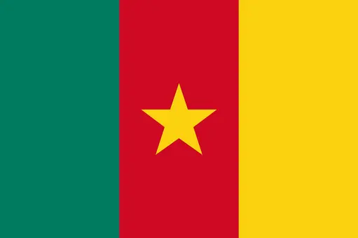Will Person J win the Cameroon Presidential Election?