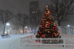 Will St. Louis have a white Christmas?