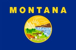 Will Alani Bankhead be the Democratic nominee for Senate in Montana?