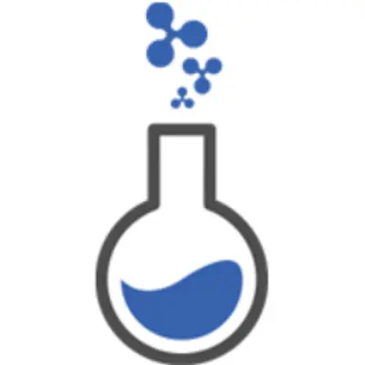 Ripple Labs IPO in 2025?