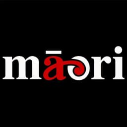 Will Te Pāti Māori be part of the next Government of New Zealand?