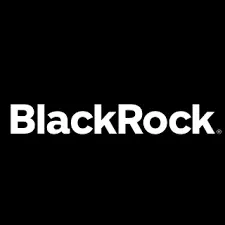 Martin Small announced as next BlackRock CEO?