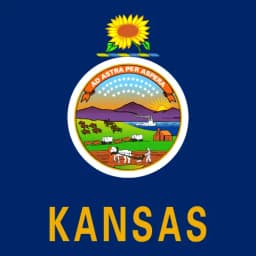 Will Sandy Spidel Neumann be the Democratic nominee for Senate in Kansas?