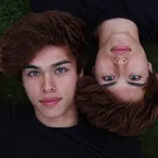 Will Stokes Twins' next video get between 2–4 million views on day 1?