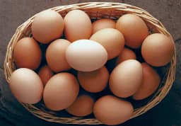 Price of eggs goes up in Trump's first month?