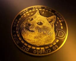 Dogecoin all time high in May?