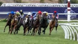 Will Mindframe win the 2025 Breeders’ Cup Classic?