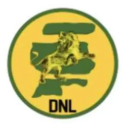 Will The New Lion win the most seats in the 2025 Suriname election?