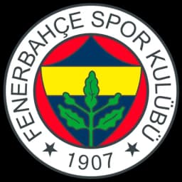 Will Fenerbahce beat Twente?
