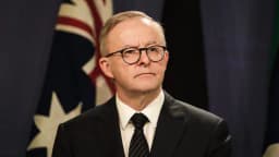 Will Anthony Albanese lose his seat?