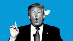 Will @realDonaldTrump tweet again by July 1?