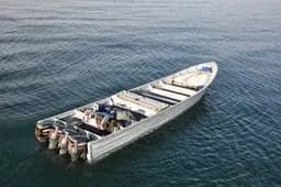 Trump announces new drug boat strike by December 31?