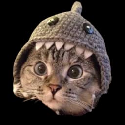 Will Shark Cat reach $1b first?