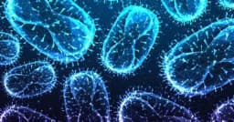 Another monkeypox case in US in 2024?