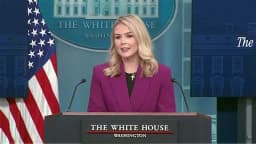Will Karoline Leavitt say DEI or 'diversity equity and inclusion' in her next press briefing?