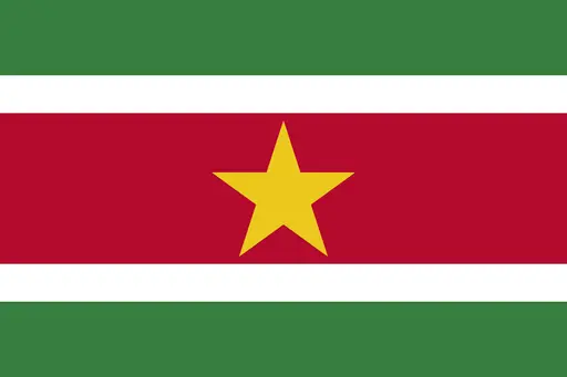 Will Person H be the next president of Suriname after the election?