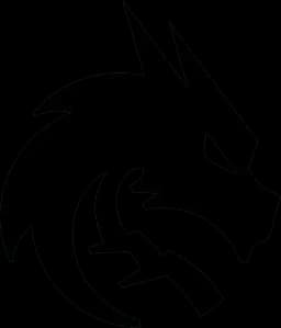 Will Team Spirit win PGL Wallachia Season 8?