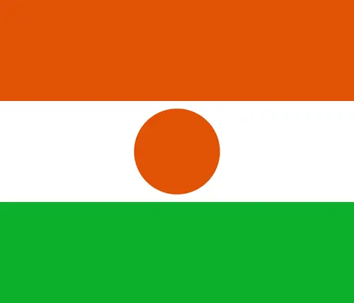 Military intervention in Niger by October 31?